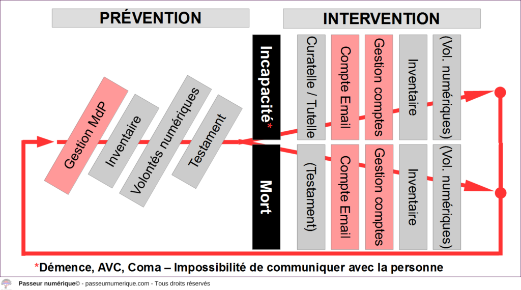 Mort numérique : Cycle de vie de biens immatériels : Étapes de prévention et d'intervention